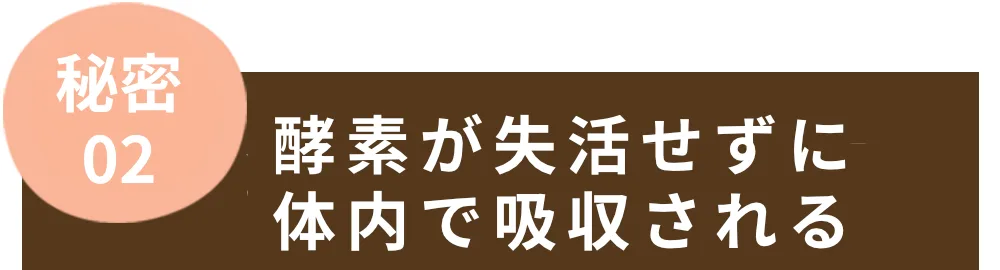 秘密02　酵素が失活せずに体内で吸収される。