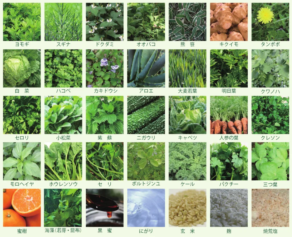酵菜に含まれる35種類の素材の写真です。ヨモギ、ドクダミ、オオバコなど野草を中心に健康に配慮した素材が使用されています。